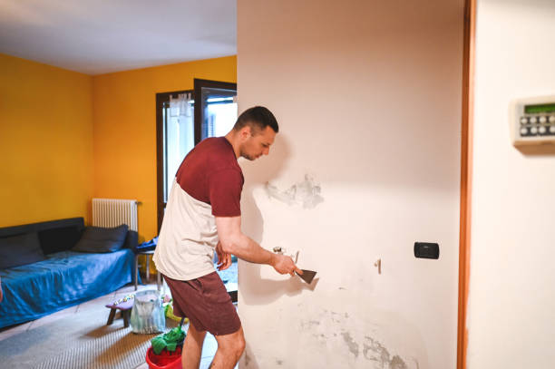 Best Crawl Space Mold Remediation in International Falls, MN